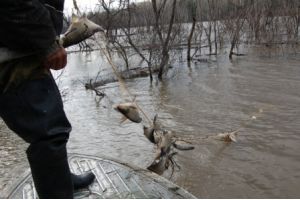 Полноразмерное изображение доступно для зарегистрированных пользователей