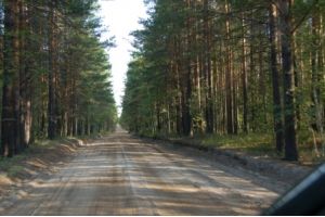 Полноразмерное изображение доступно для зарегистрированных пользователей