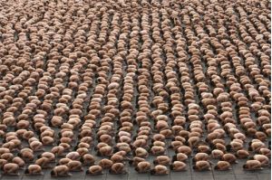 Полноразмерное изображение доступно для зарегистрированных пользователей